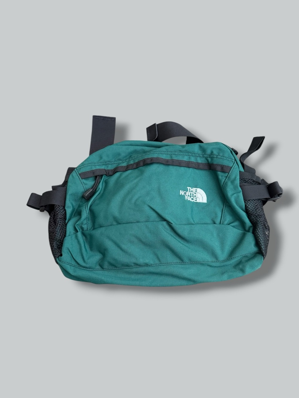 The North Face Teal green Waist Pack - Compact Everyday Carry